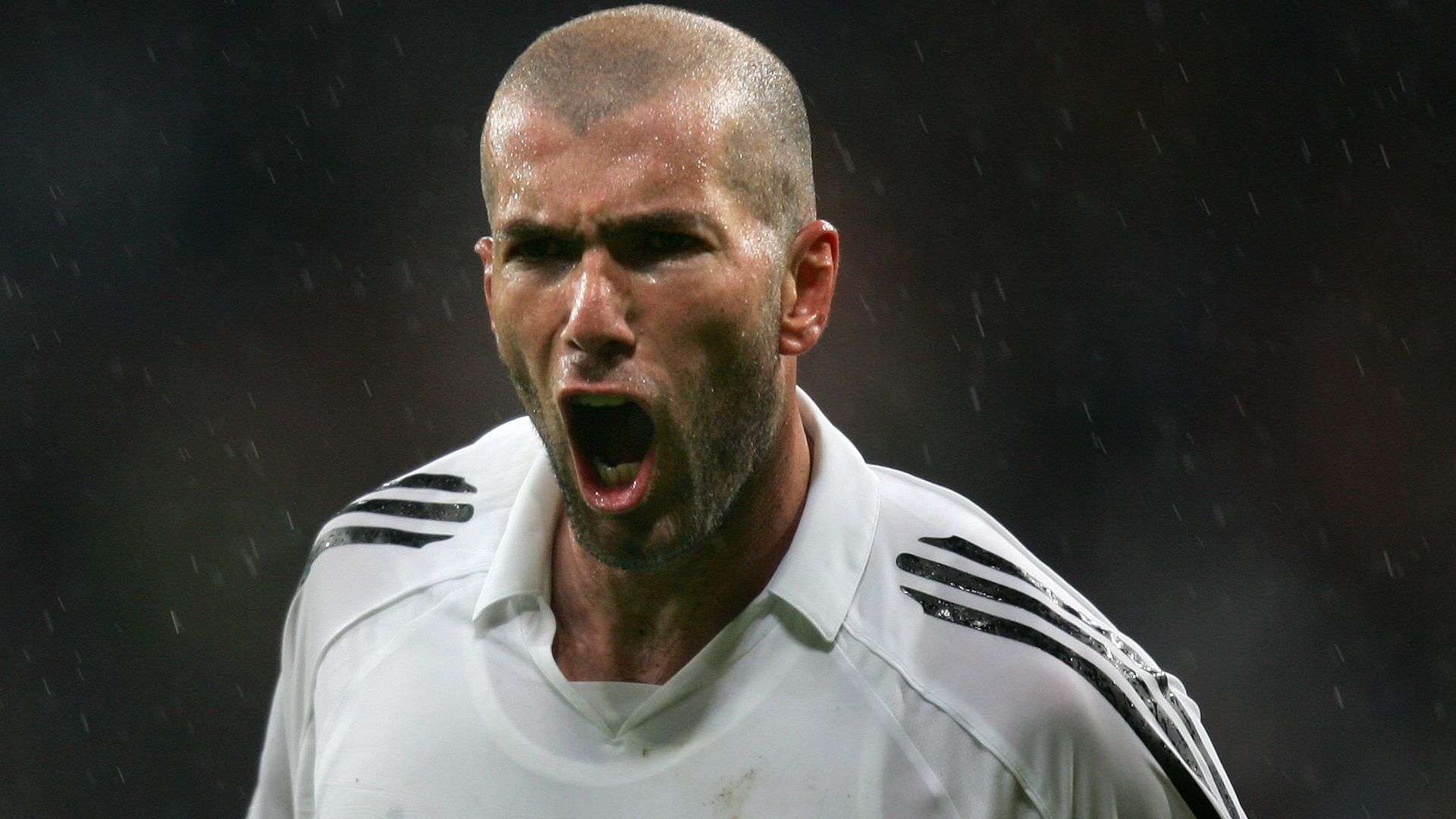 才能在小组 才能在小组